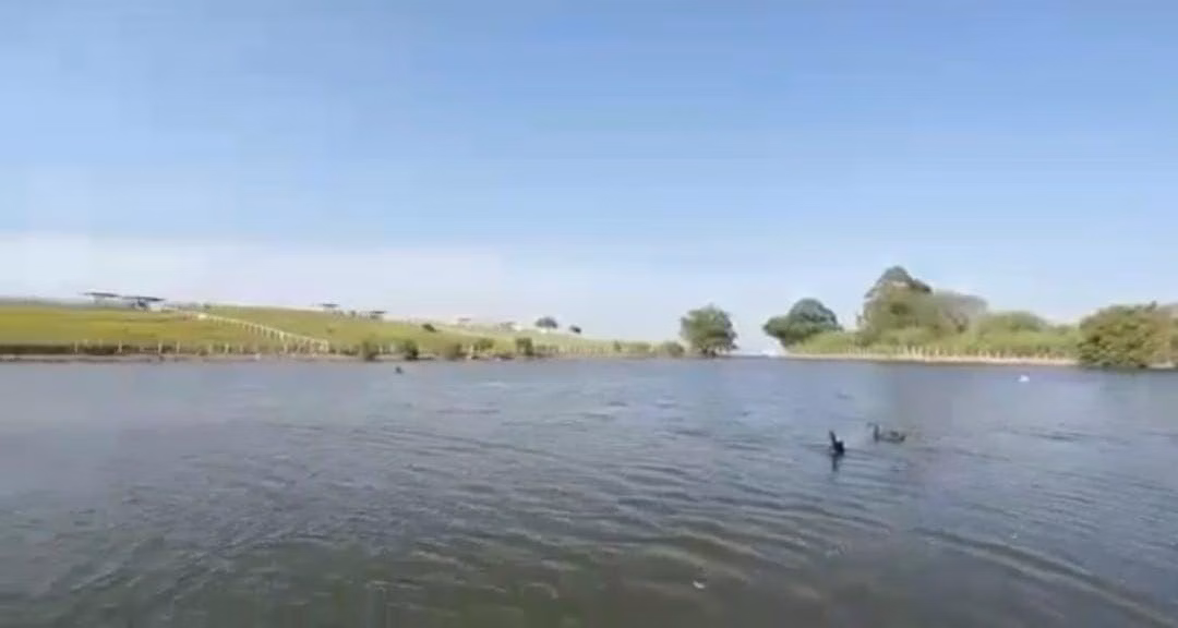 Fazenda de 1.147 ha em Vargem Grande do Sul, SP