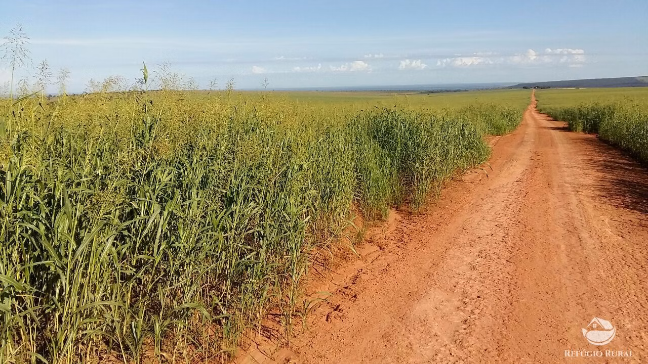 Fazenda de 3.675 ha em Itiquira, MT