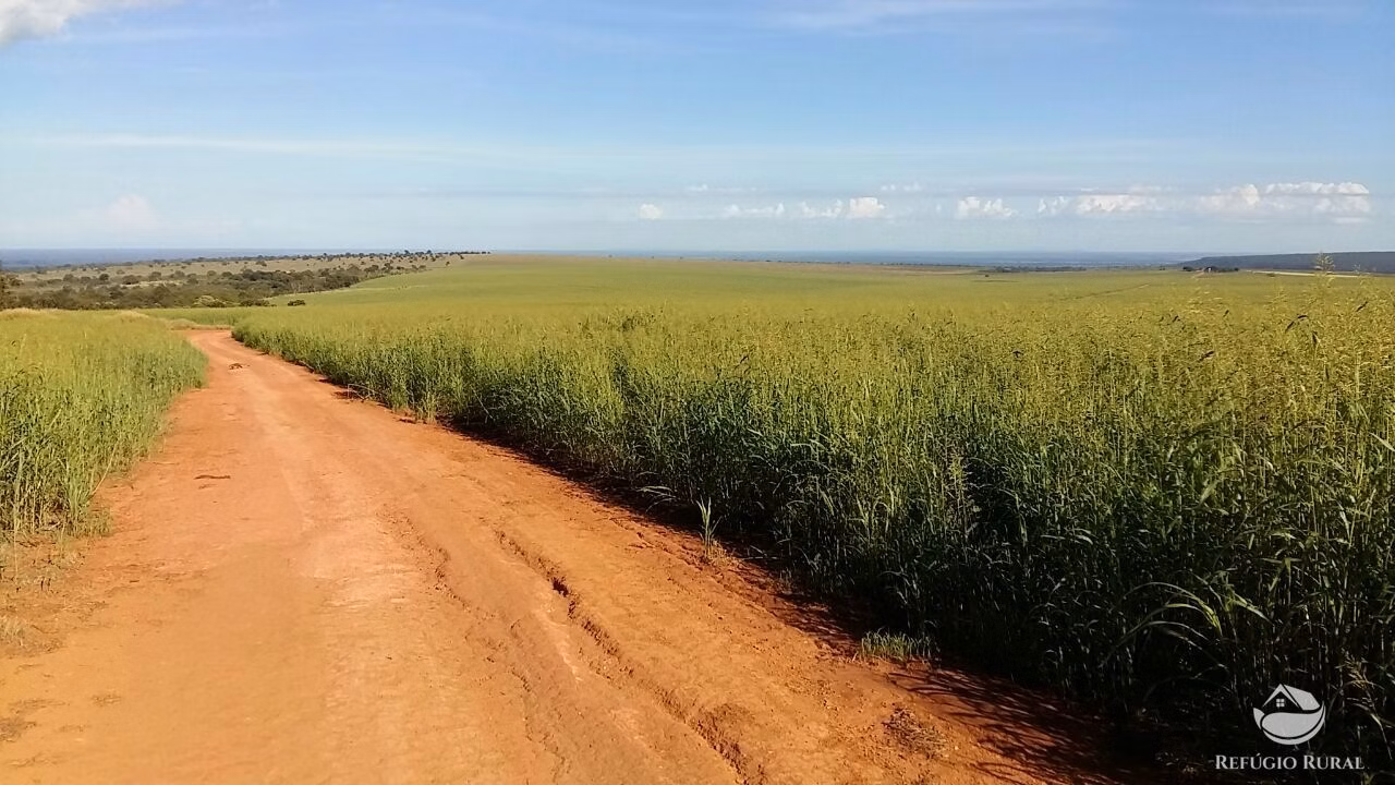 Fazenda de 3.675 ha em Itiquira, MT