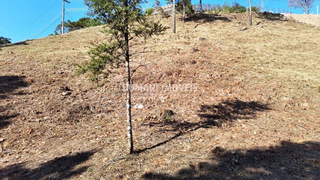 Terreno de 1.060 m² em Campos do Jordão, SP