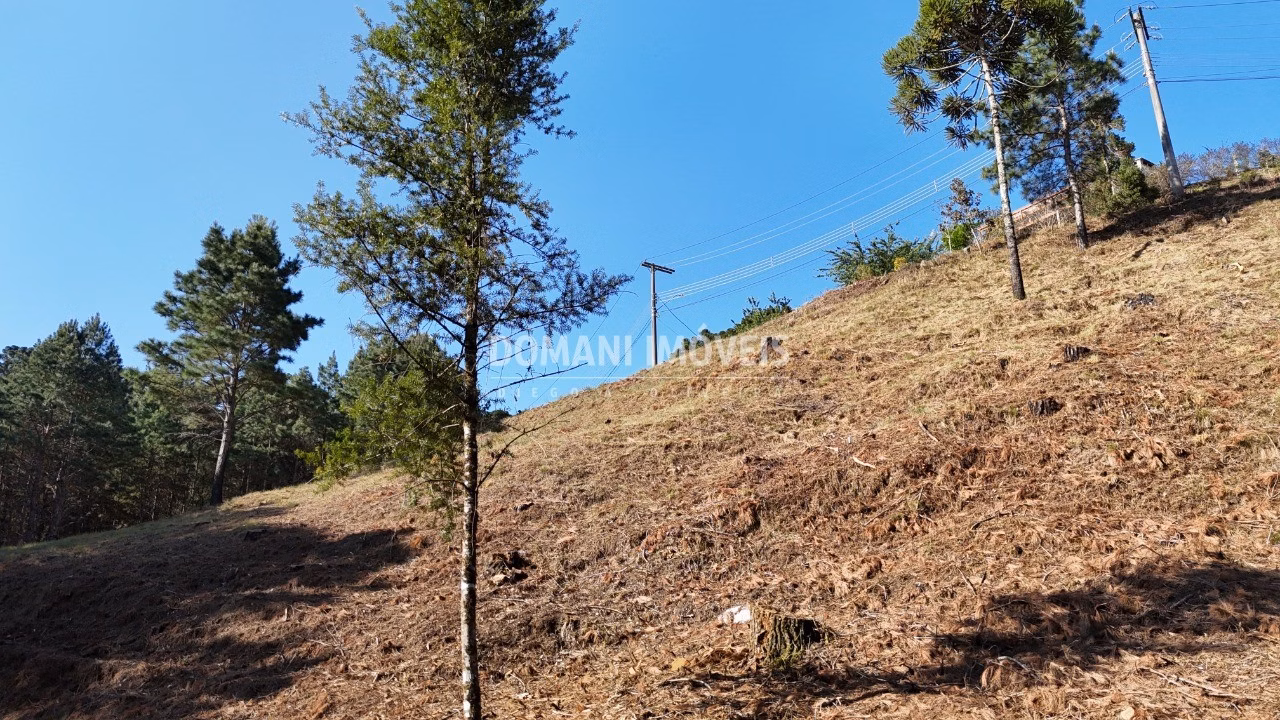 Plot of 1,060 m² in Campos do Jordão, SP, Brazil