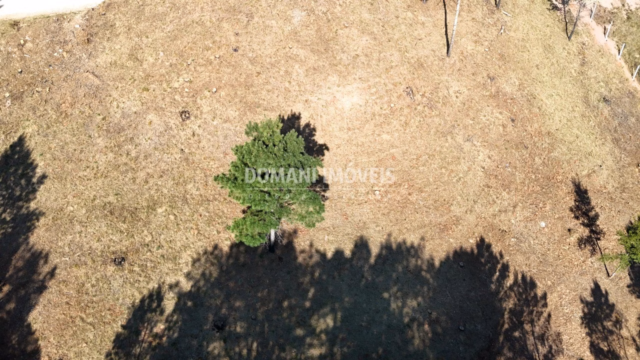 Plot of 1,060 m² in Campos do Jordão, SP, Brazil