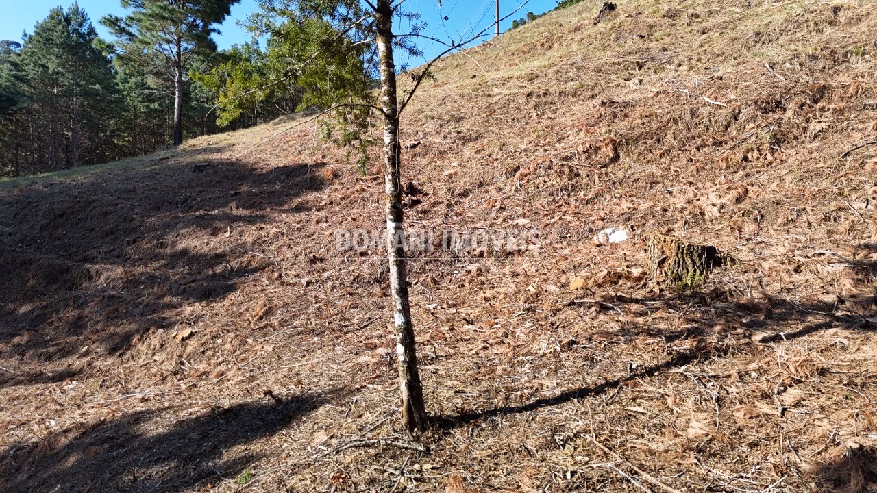 Plot of 1,060 m² in Campos do Jordão, SP, Brazil