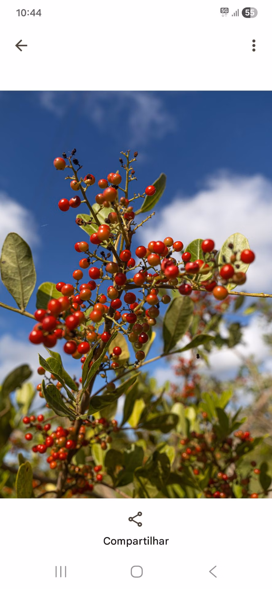 Fazenda à venda e para arrendar de 52 ha em Linhares, ES