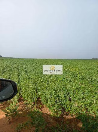 Fazenda de 697 ha em Araguaína, TO