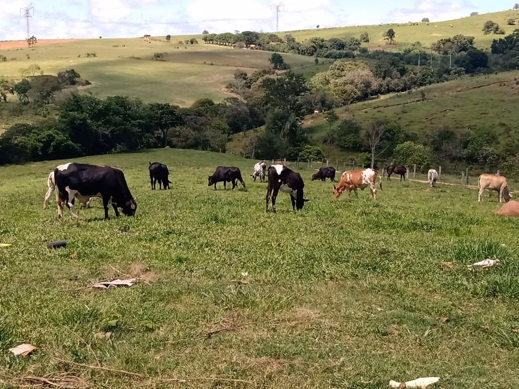 Sítio de 4 ha em Angatuba, SP