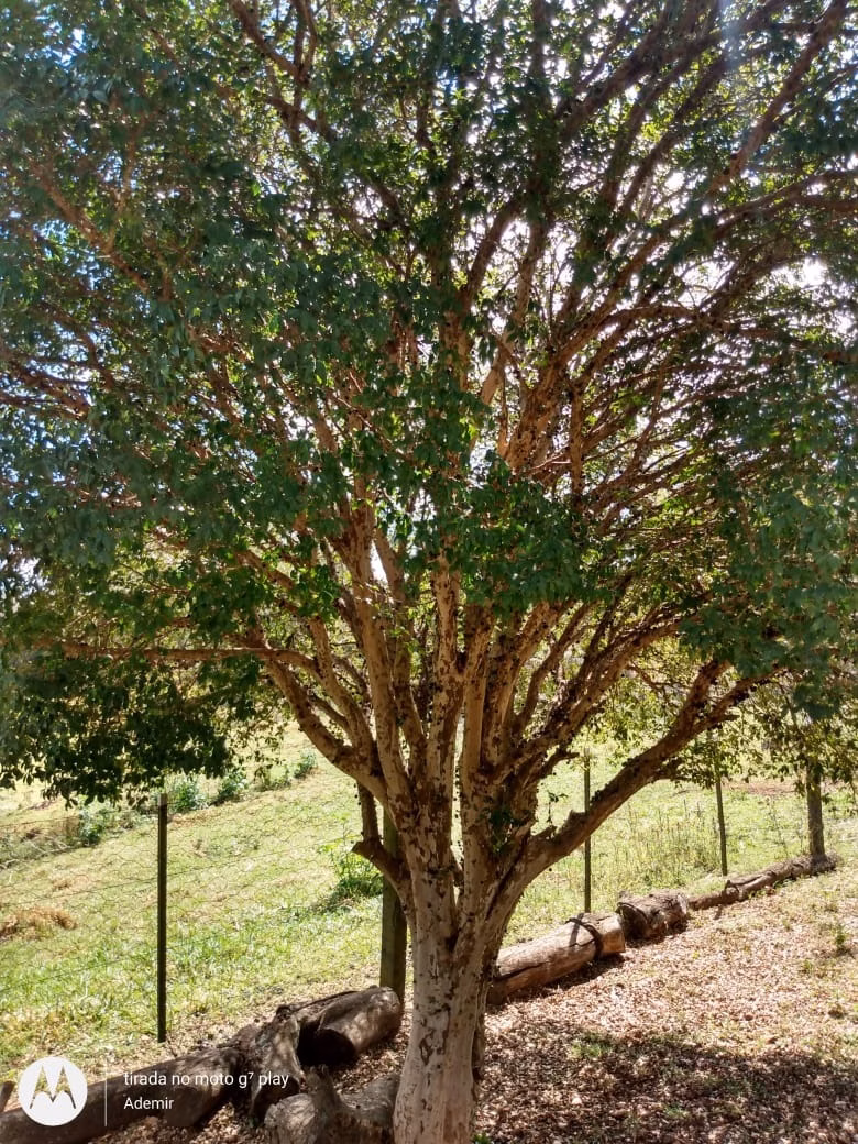 Country home of 10 acres in Bofete, SP, Brazil