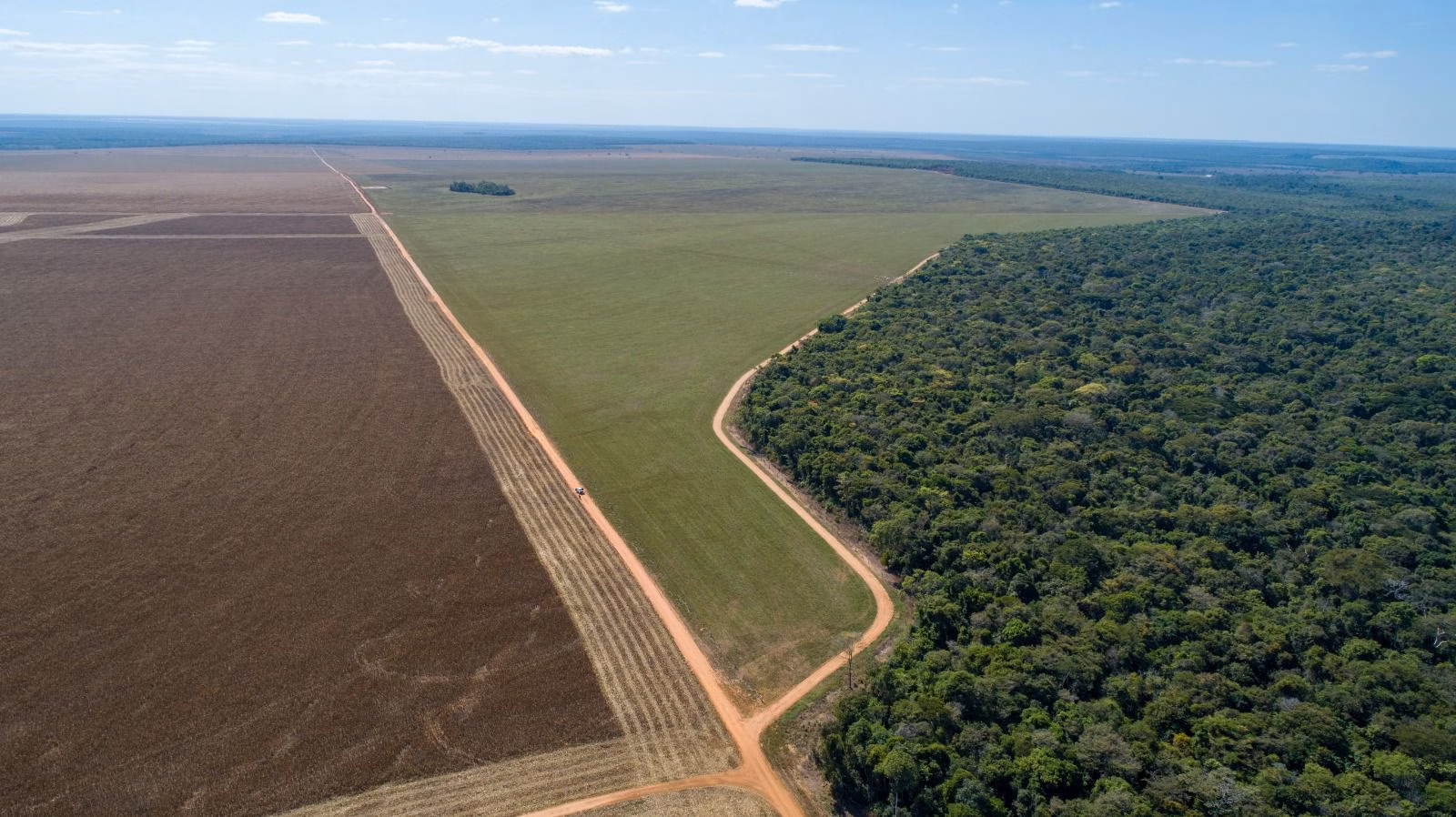 Fazenda de 5.000 ha em Nova Maringá, MT