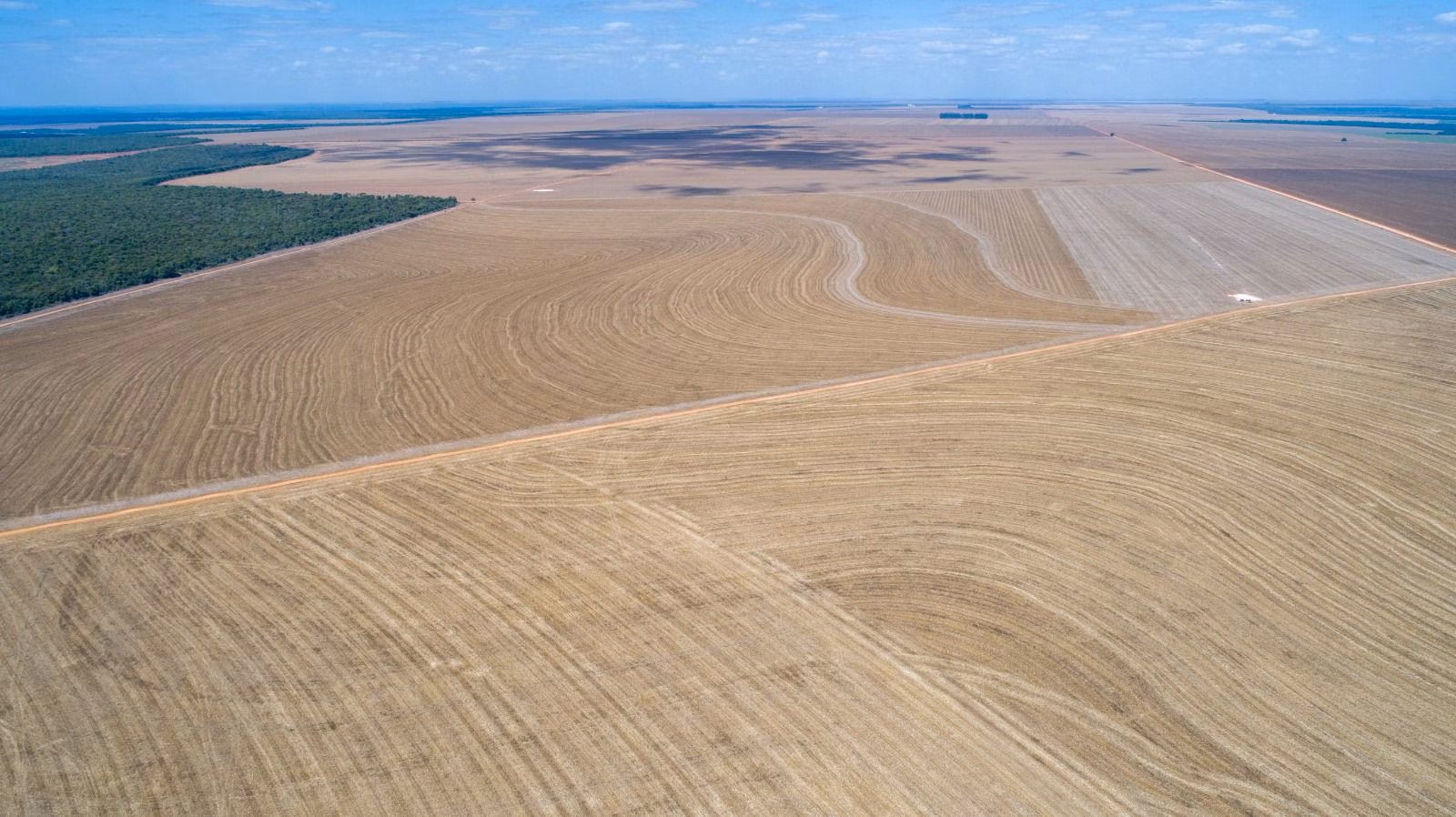 Fazenda de 5.000 ha em Nova Maringá, MT