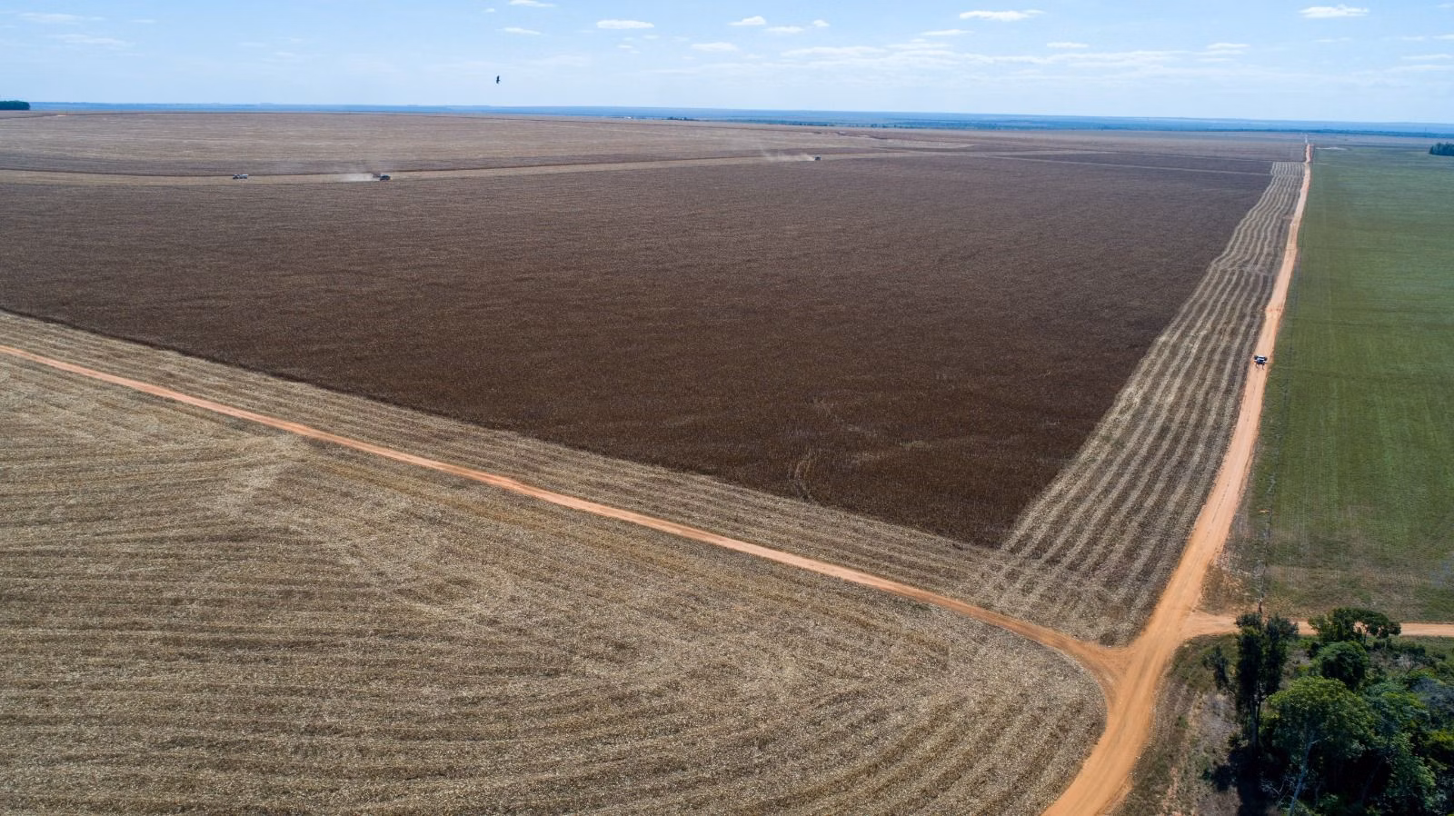 Fazenda de 5.000 ha em Nova Maringá, MT