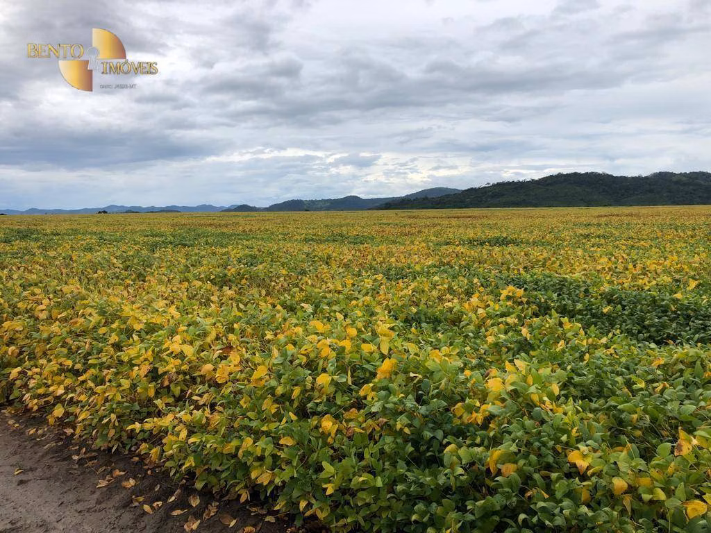 Farm of 23,920 acres in Santana do Araguaia, PA, Brazil