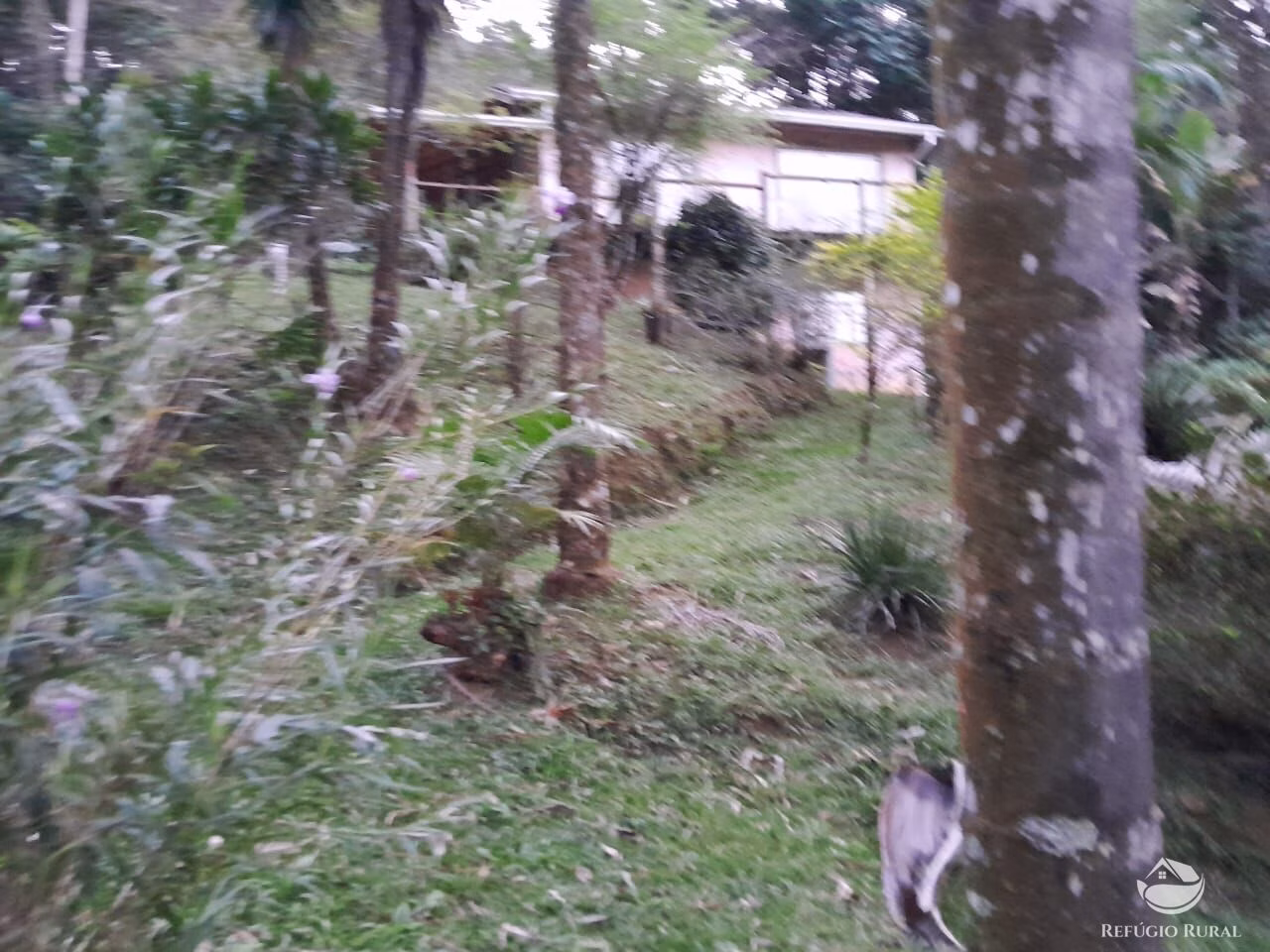 Chácara de 3.000 m² em São José dos Campos, SP