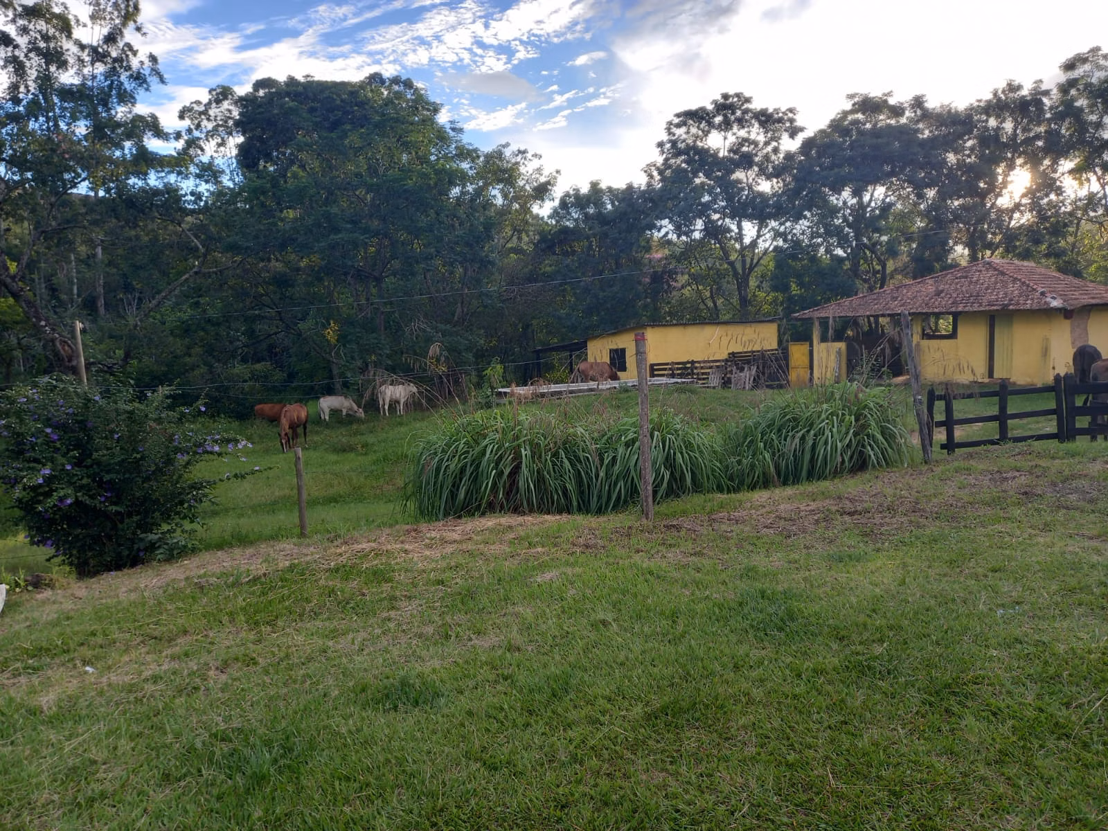 Fazenda de 145 ha em Lorena, SP