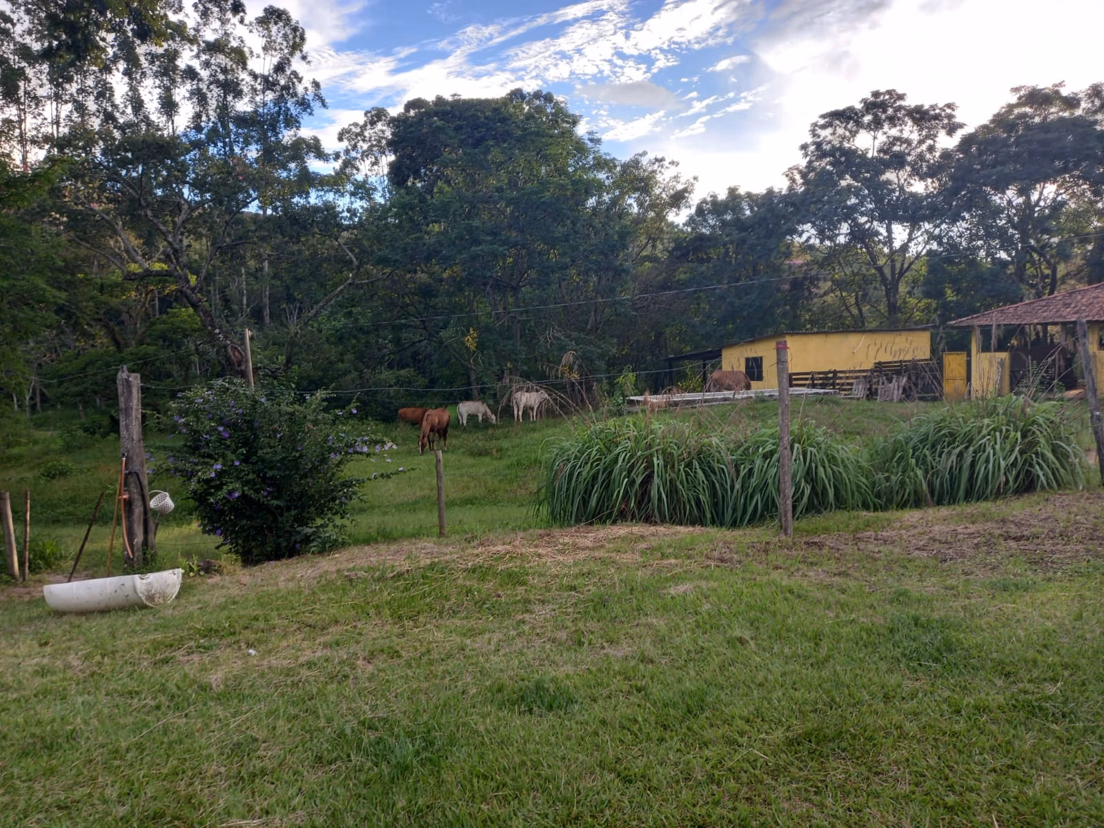 Fazenda de 145 ha em Lorena, SP