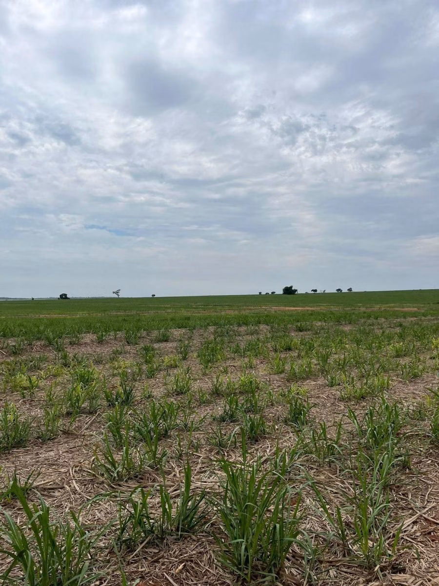 Fazenda à venda de 185 ha em Presidente Prudente, SP
