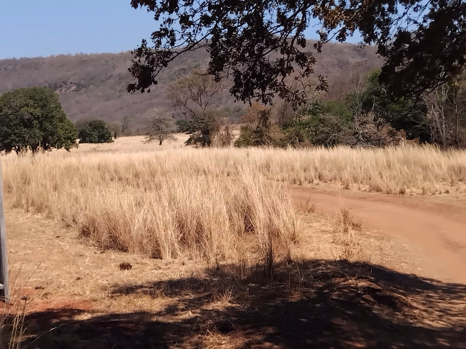 Farm of 3.707 acres in Riachão das Neves, BA, Brazil