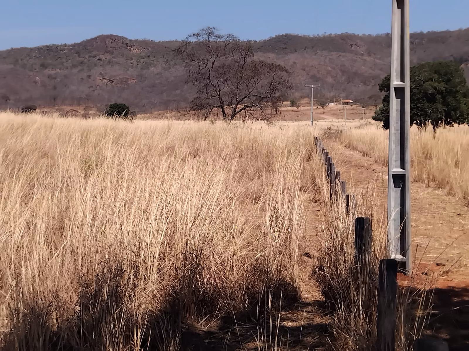 Farm of 3.707 acres in Riachão das Neves, BA, Brazil