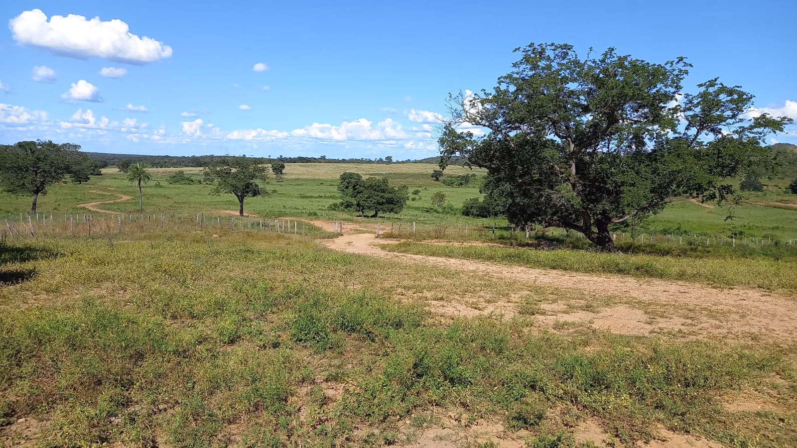 Farm of 3.707 acres in Riachão das Neves, BA, Brazil