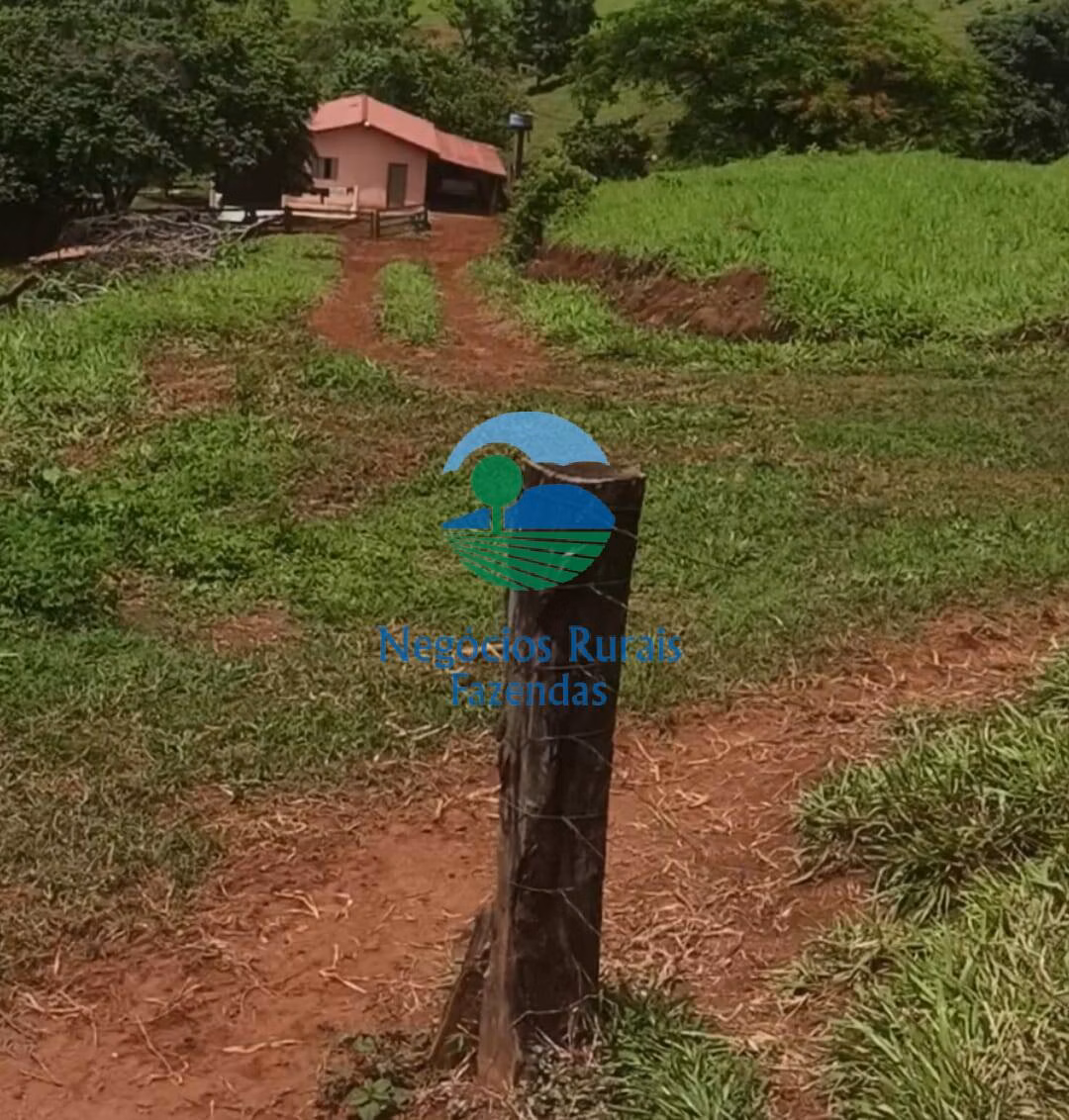 Fazenda de 343 ha em Campinorte, GO