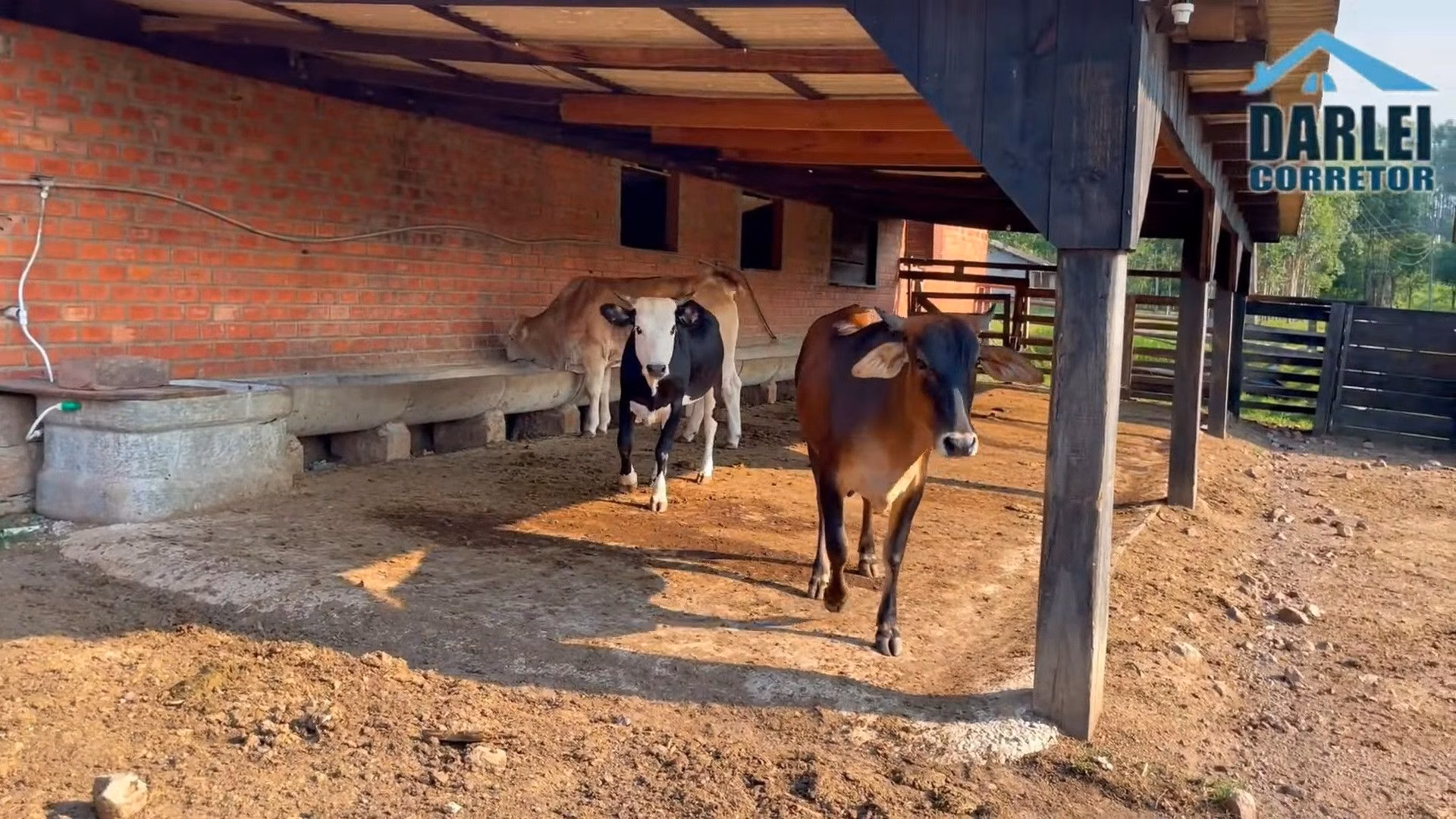 Chácara de 5 ha em Taquara, RS