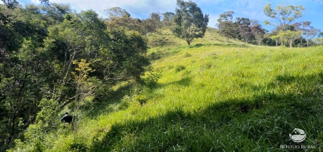 Terreno de 2 ha em Monteiro Lobato, SP