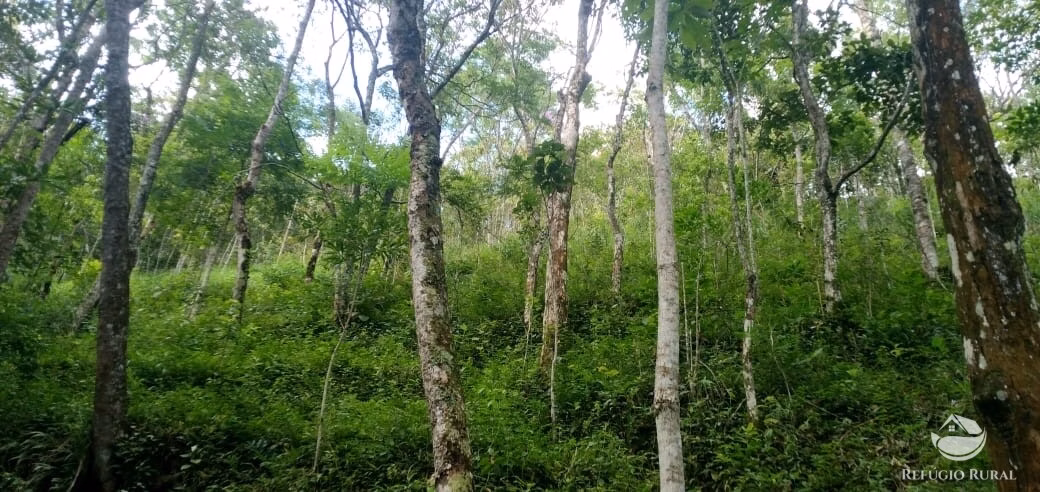 Terreno de 2 ha em Monteiro Lobato, SP
