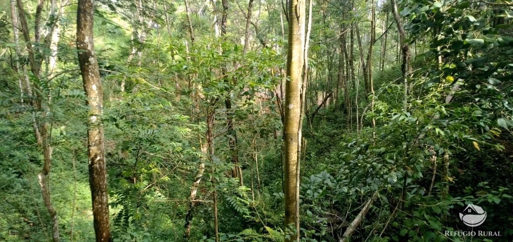Terreno de 2 ha em Monteiro Lobato, SP
