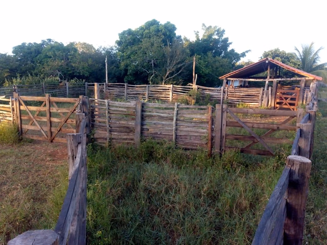 Fazenda de 189 ha em Ponto Chique, MG