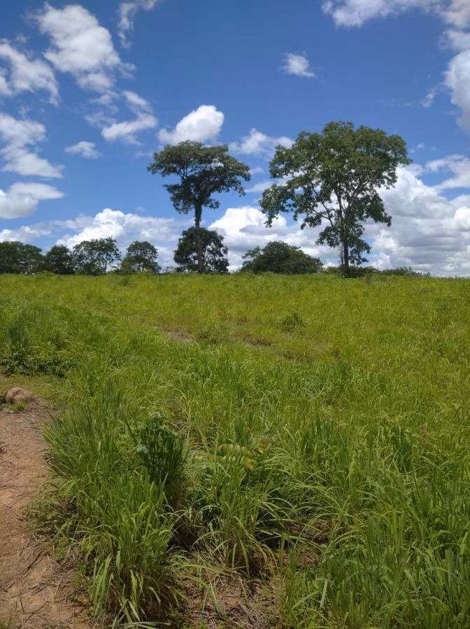 Fazenda de 189 ha em Ponto Chique, MG
