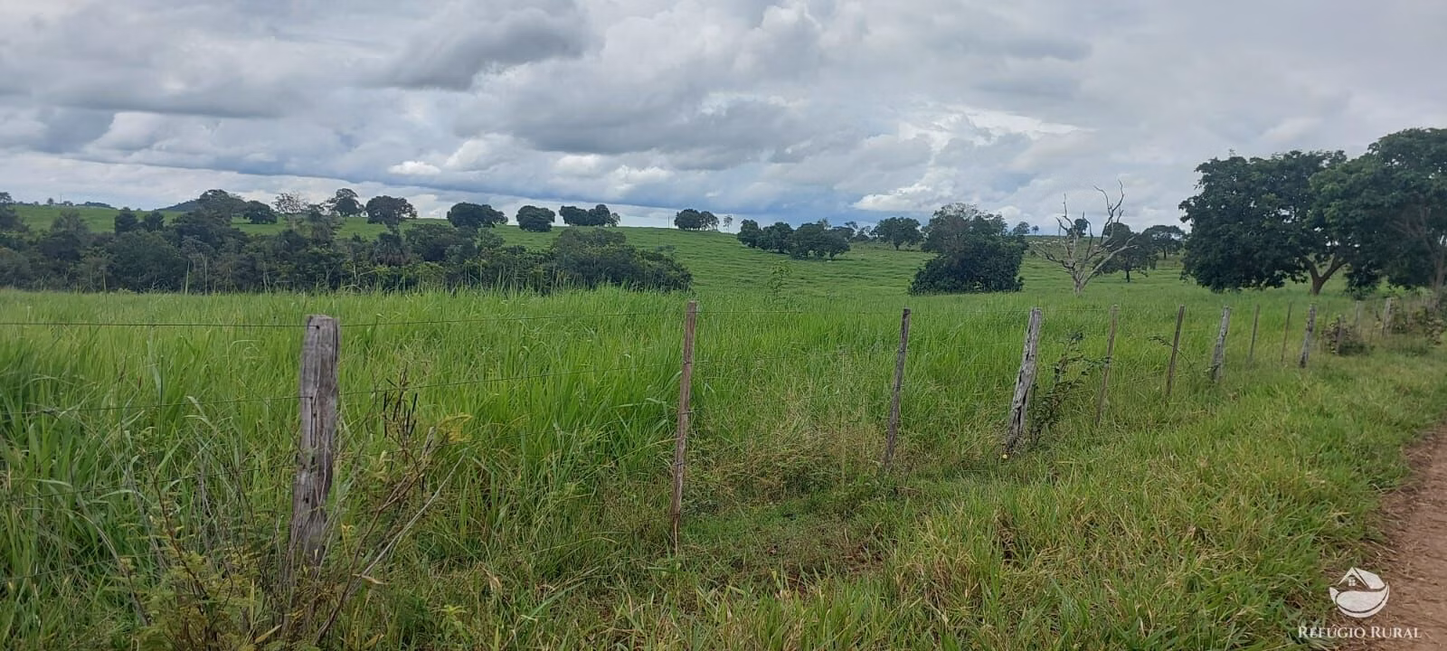 Fazenda de 700 ha em Camapuã, MS