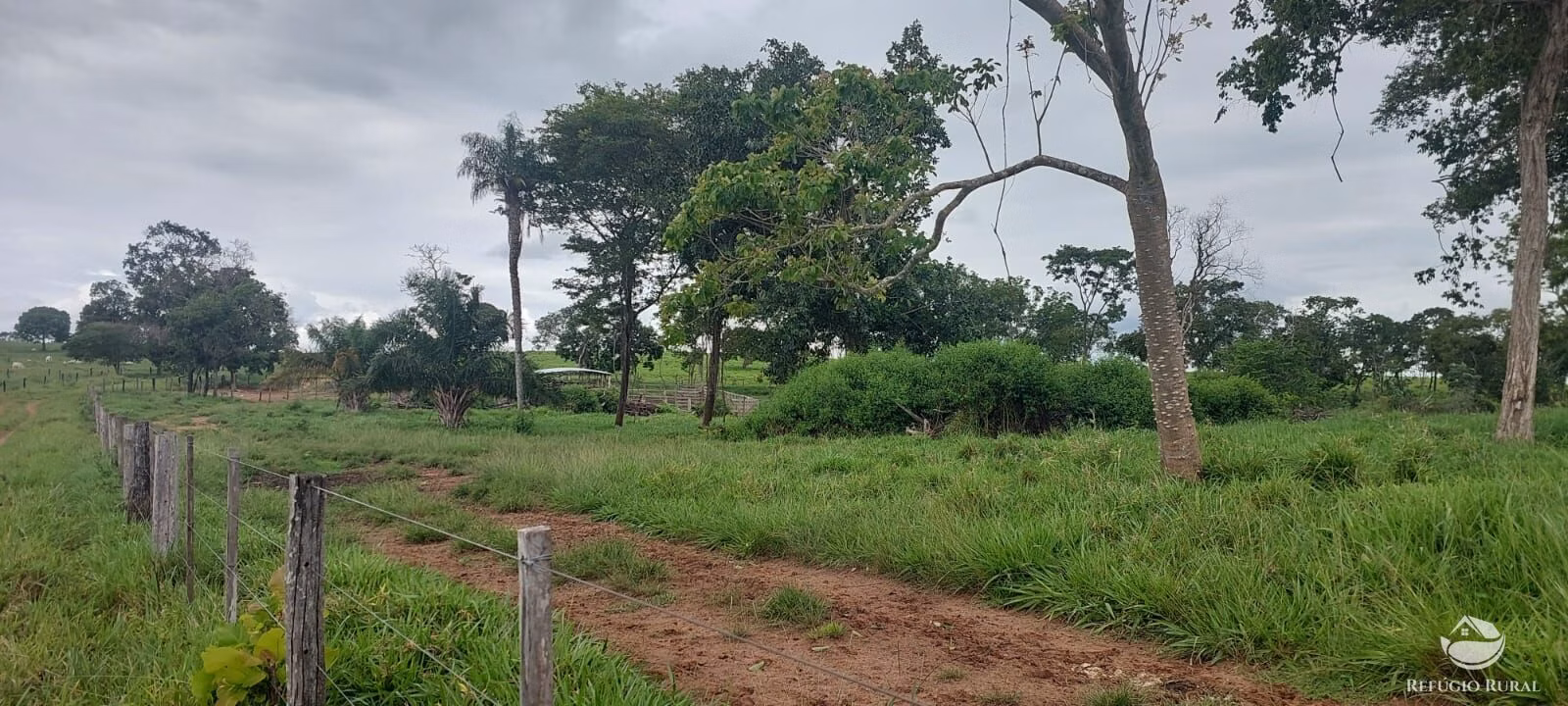 Fazenda de 700 ha em Camapuã, MS