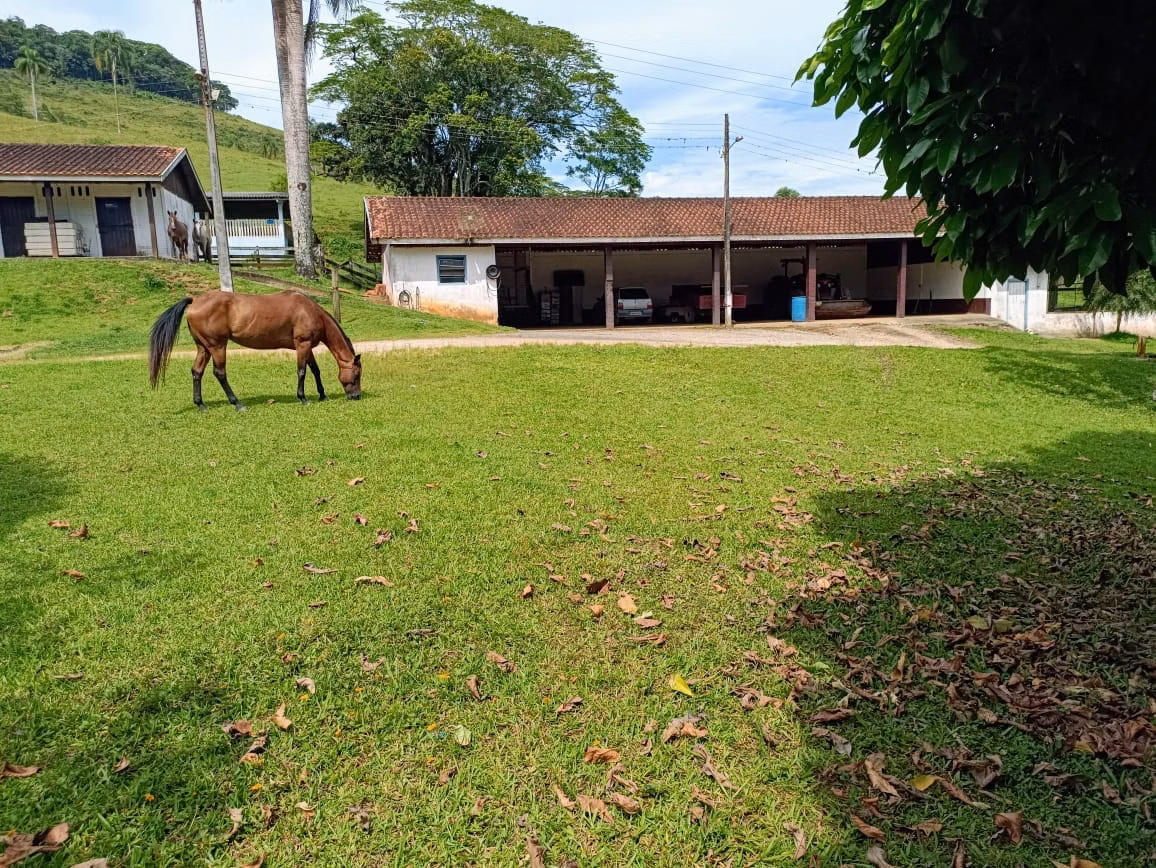 Fazenda de 671 ha em Juquiá, SP