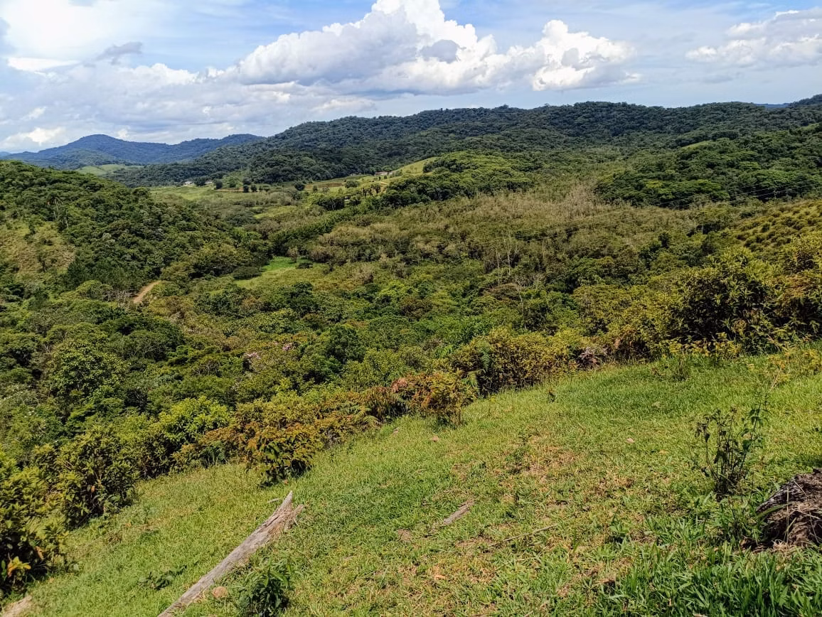 Fazenda de 671 ha em Juquiá, SP