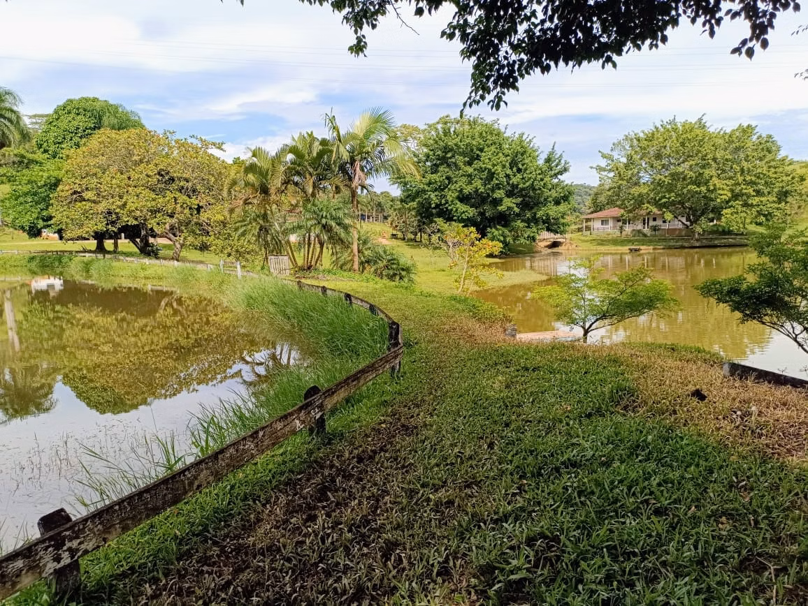 Fazenda de 671 ha em Juquiá, SP