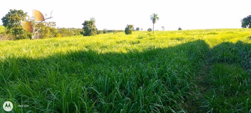 Fazenda de 978 ha em Poconé, MT