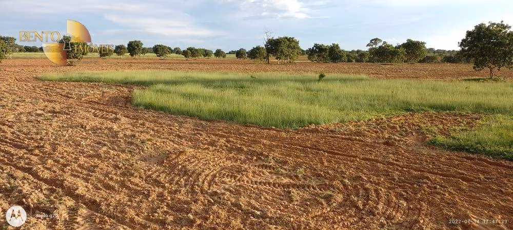 Fazenda de 978 ha em Poconé, MT