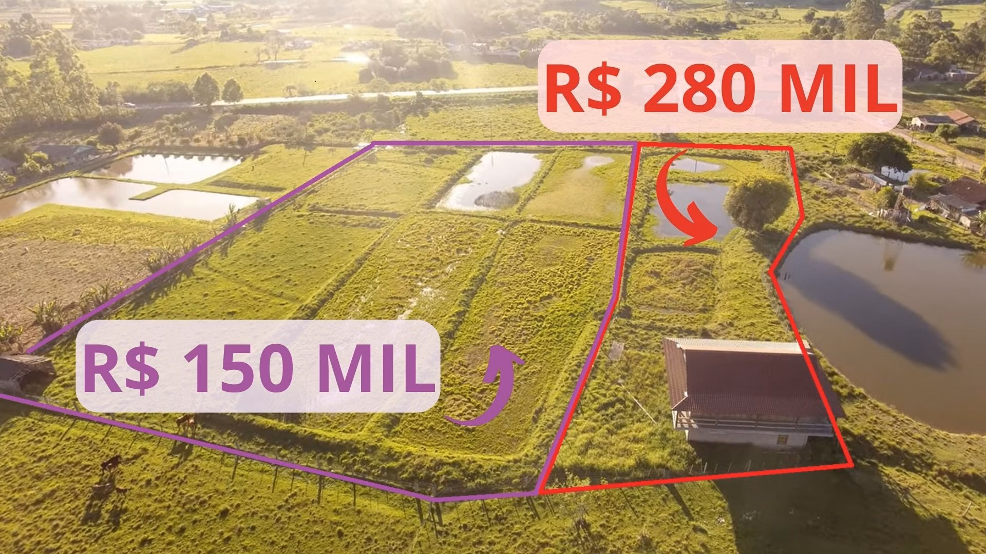 Chácara de 1 ha em Santo Antônio da Patrulha, RS