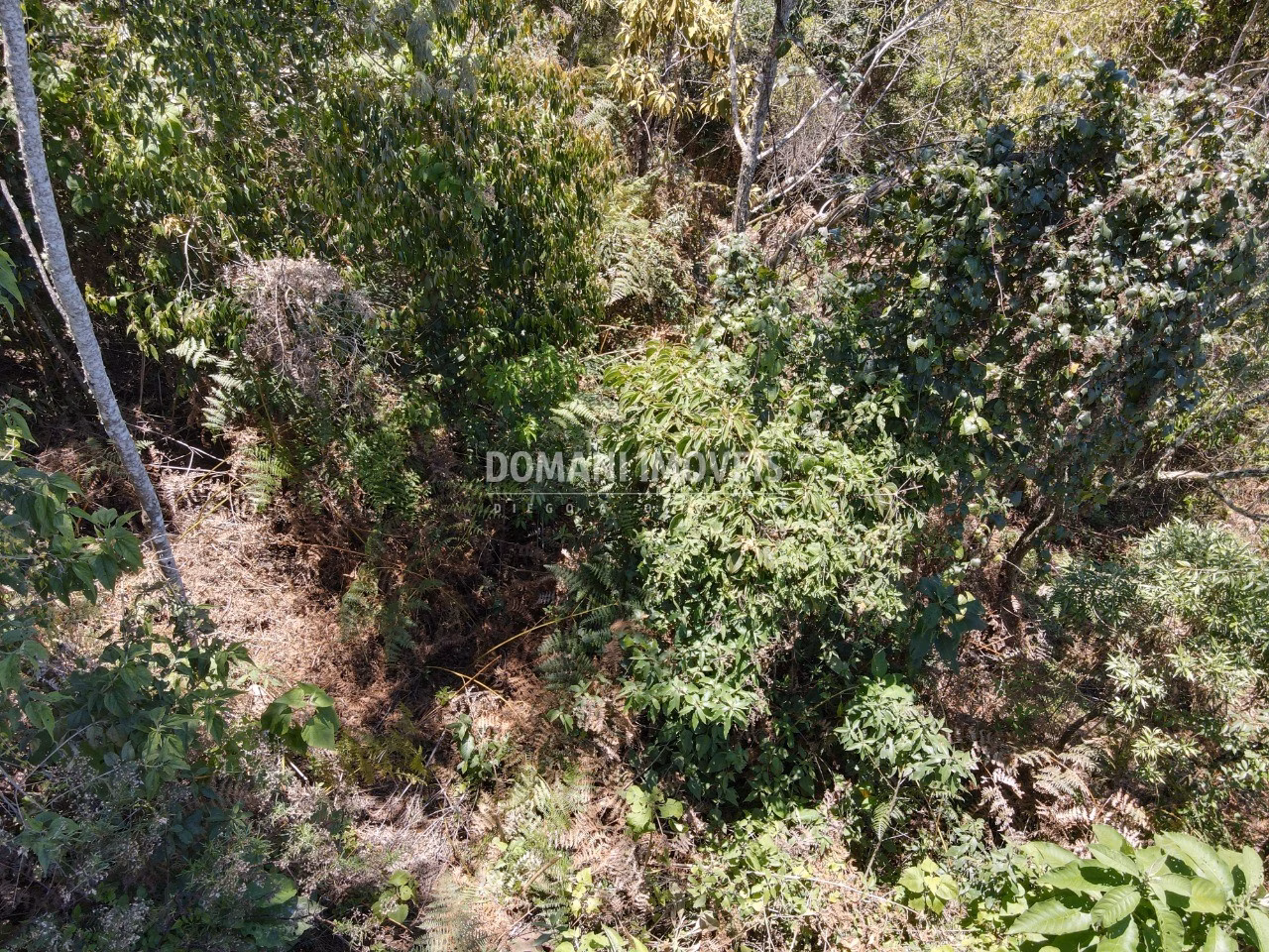 Plot of 3,540 m² in Campos do Jordão, SP, Brazil