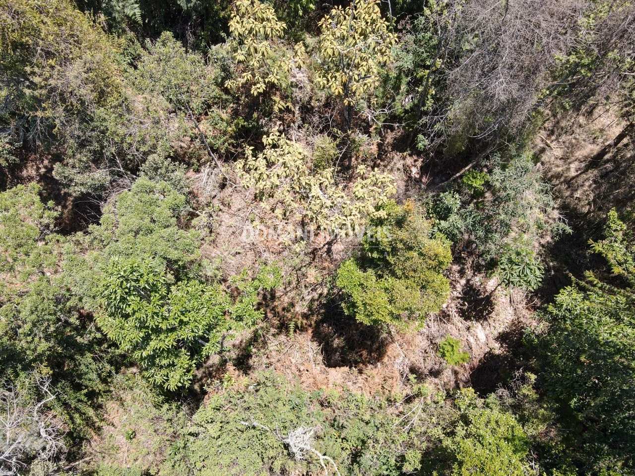 Plot of 3,540 m² in Campos do Jordão, SP, Brazil