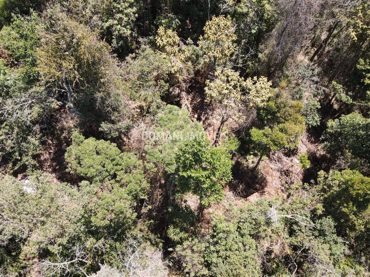 Plot of 3,540 m² in Campos do Jordão, SP, Brazil