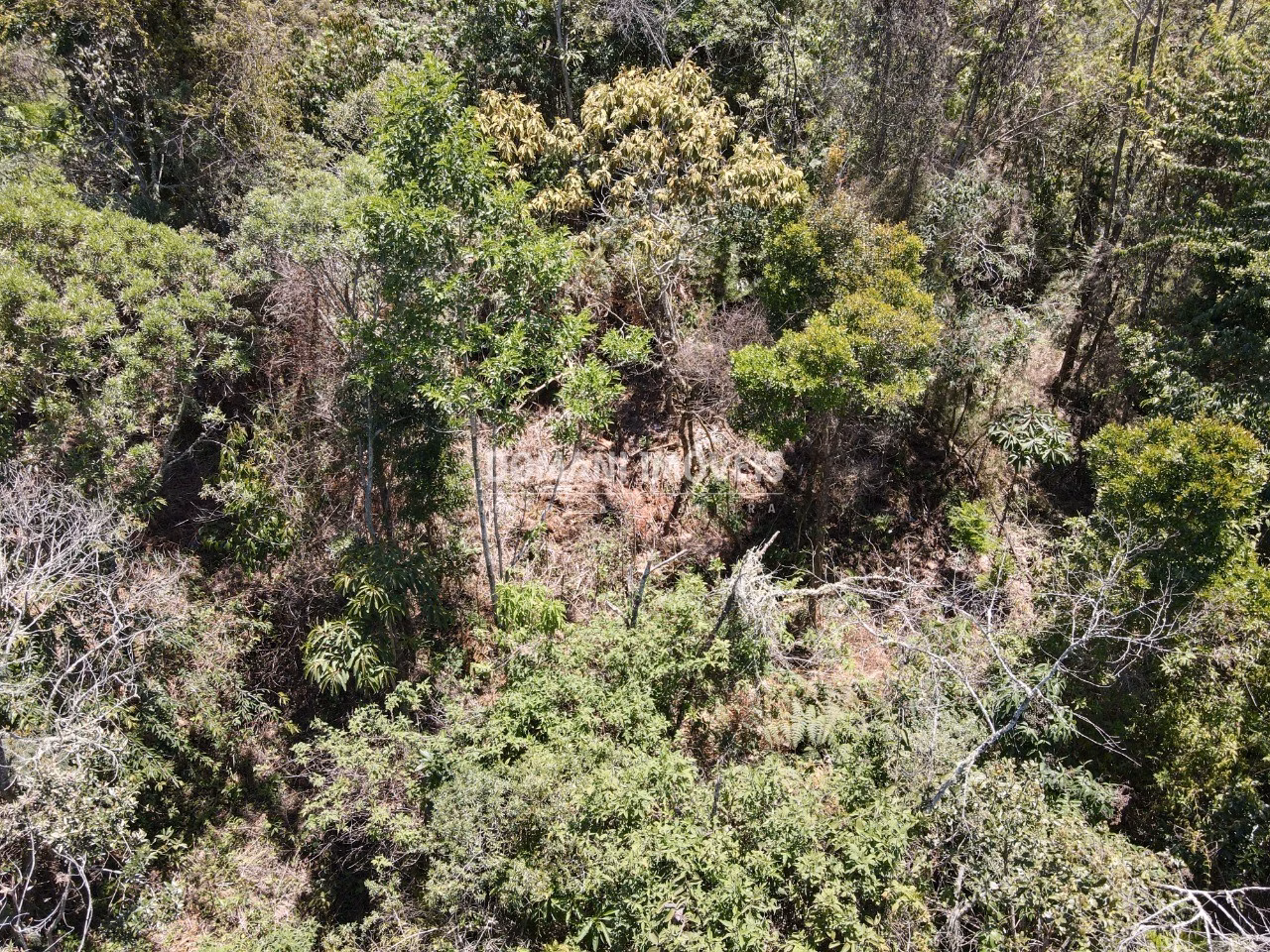 Plot of 3,540 m² in Campos do Jordão, SP, Brazil