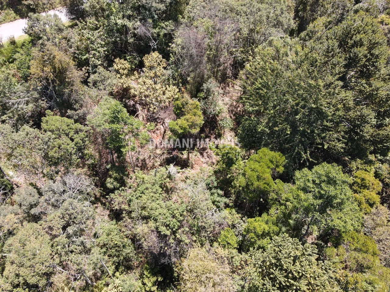 Plot of 3,540 m² in Campos do Jordão, SP, Brazil