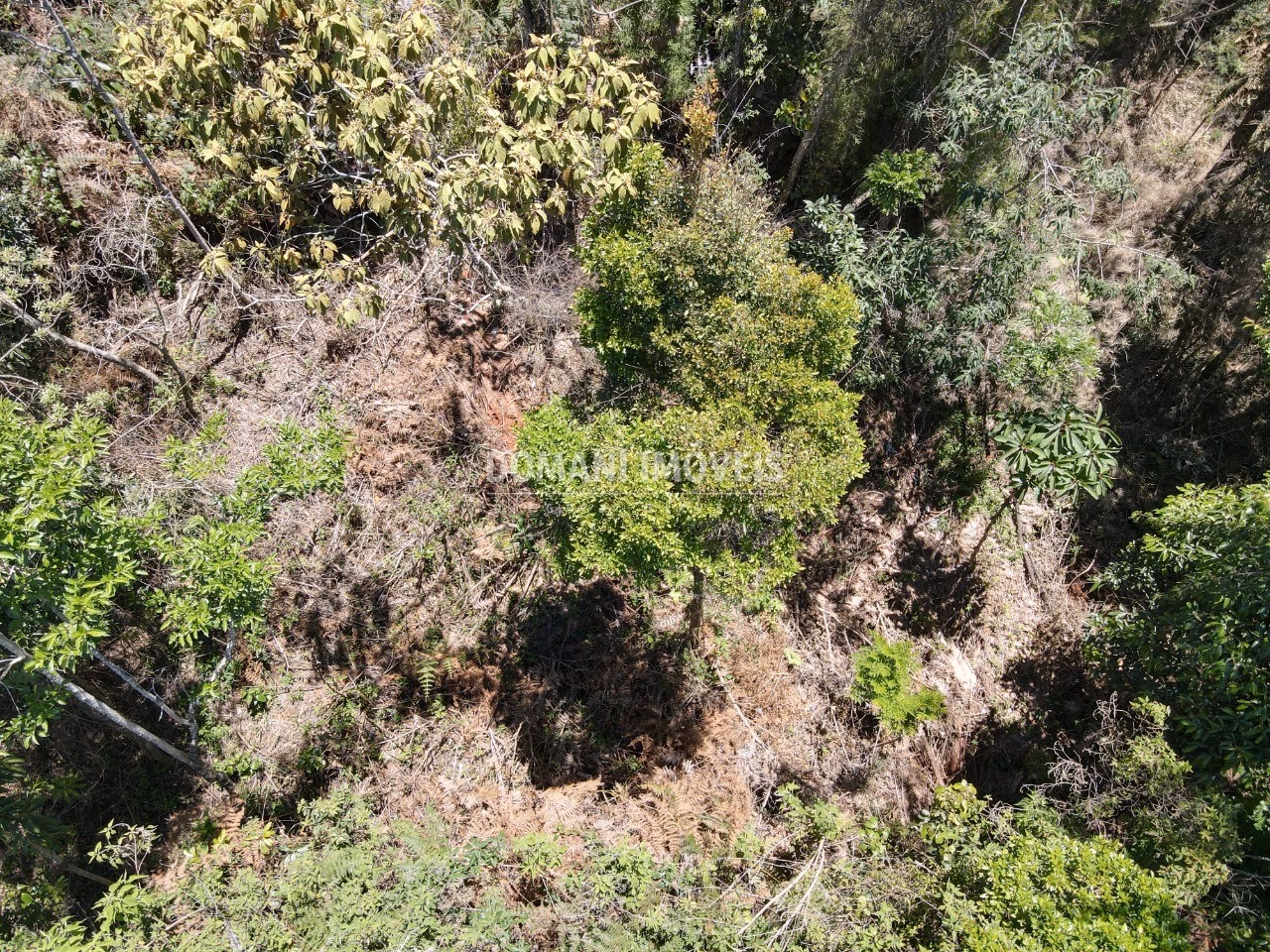 Plot of 3,540 m² in Campos do Jordão, SP, Brazil