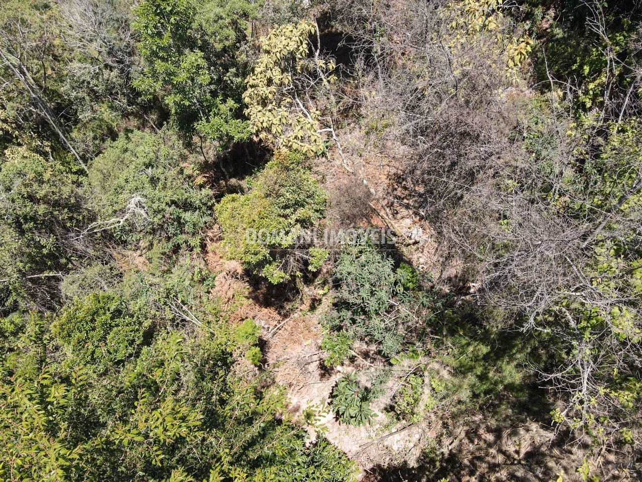 Plot of 3,540 m² in Campos do Jordão, SP, Brazil