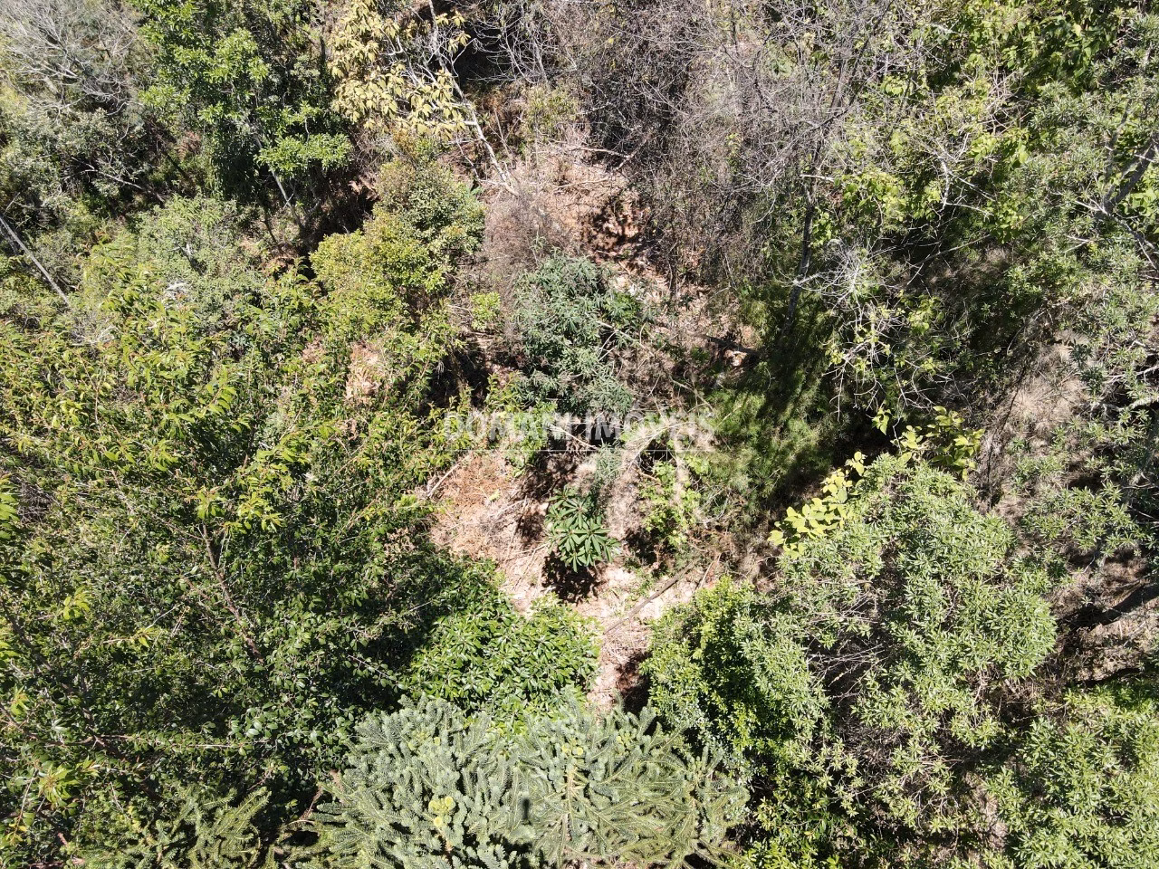 Plot of 3,540 m² in Campos do Jordão, SP, Brazil