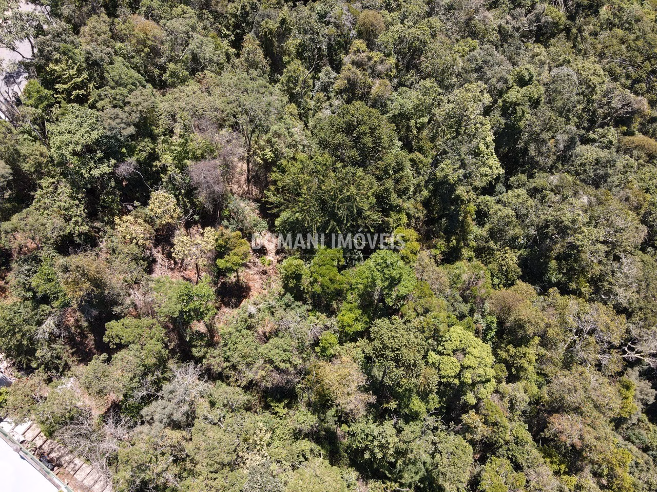 Plot of 3,540 m² in Campos do Jordão, SP, Brazil