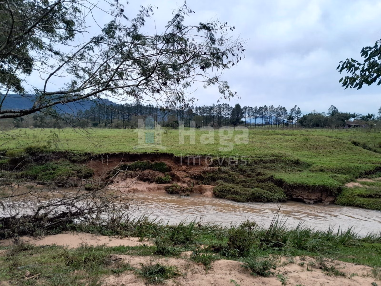 Fazenda de 20 ha em Turvo, SC