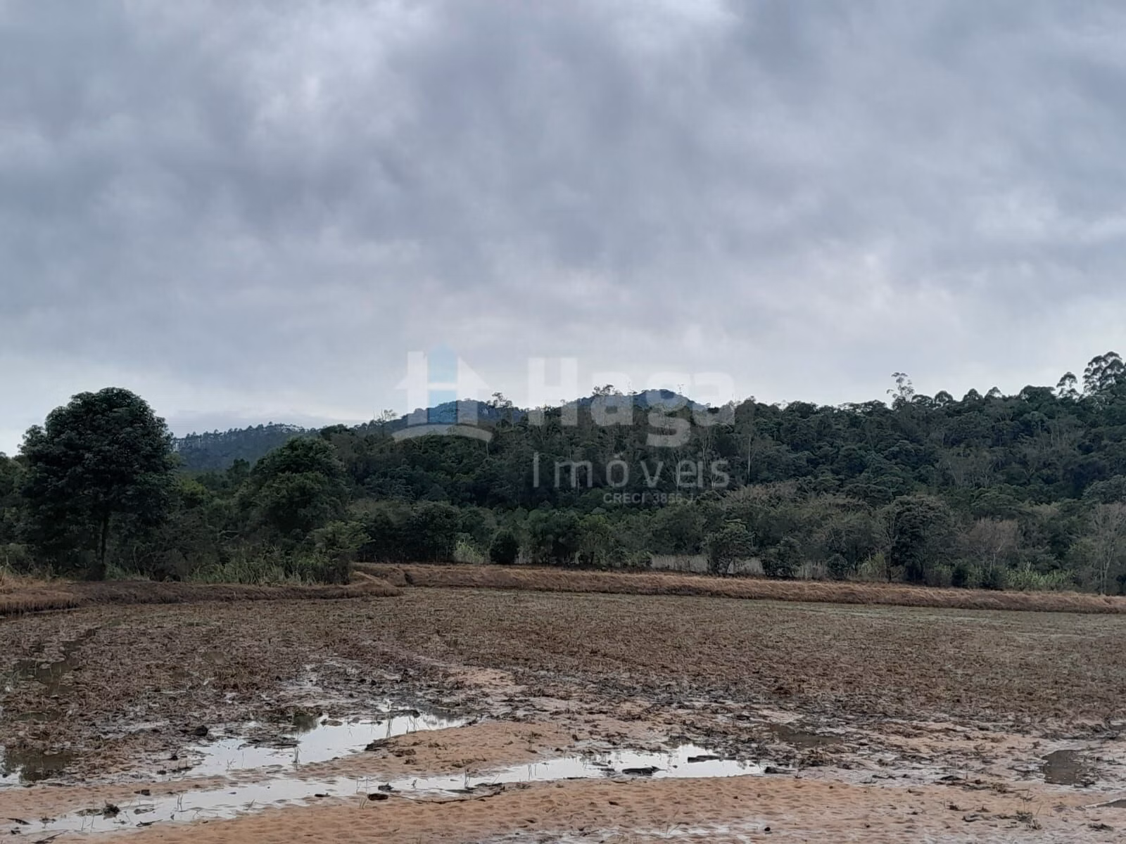Fazenda de 20 ha em Turvo, SC