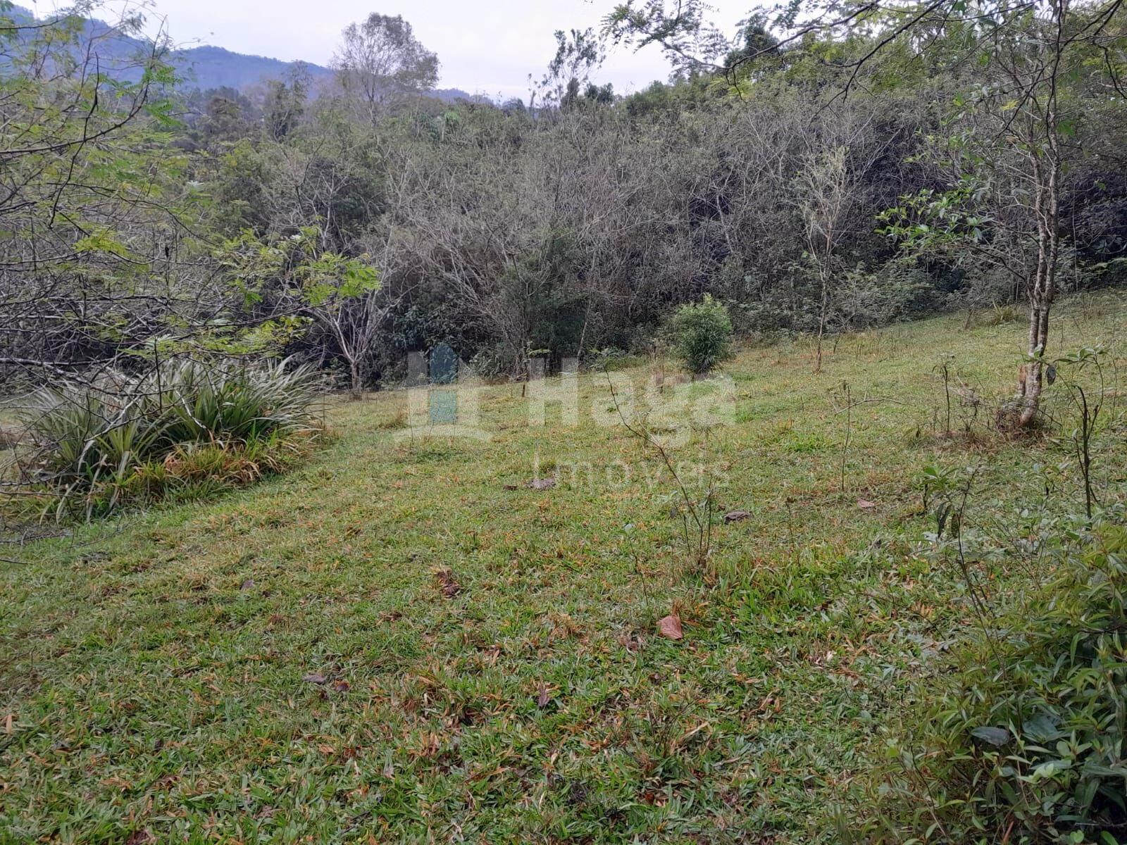 Fazenda de 20 ha em Turvo, SC