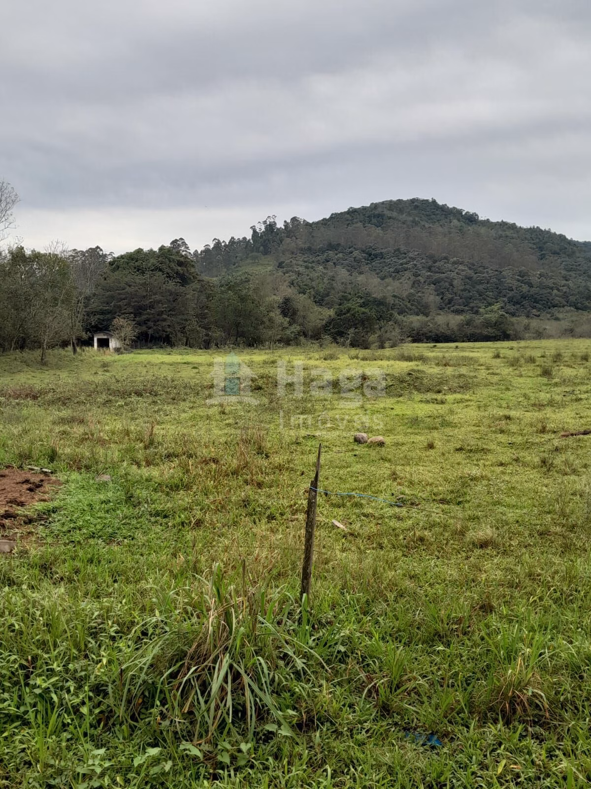 Fazenda de 20 ha em Turvo, SC